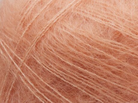 Tilia | 341 Winter Peach